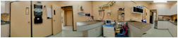 Centre Street Animal Hospital::Treatment Room