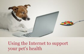 Pet internet resources
