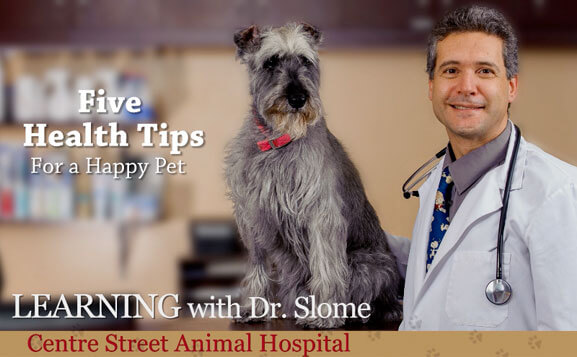 Episode 1: 5 Healthy Tips for a Happy Pet