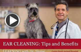 Ear Cleaning Tips and Tricks