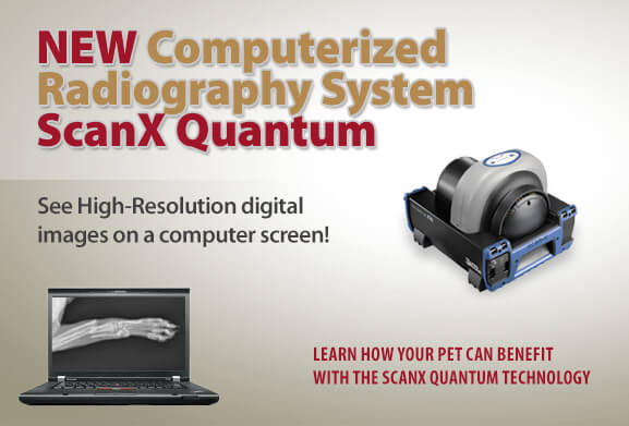 Introducing the ScanX Quantum Scanner