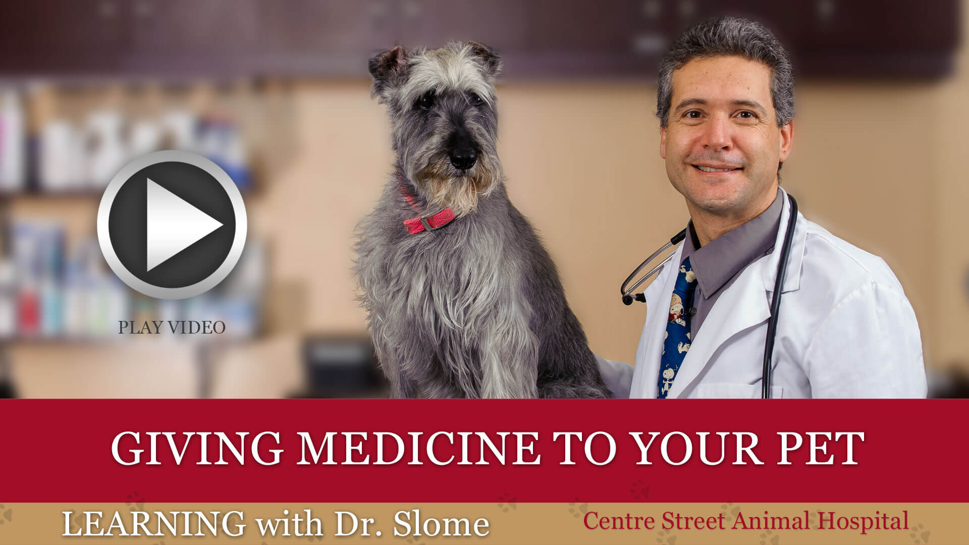 Episode 8: Giving Medicine to your Pet