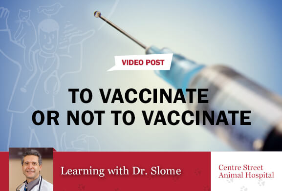 To Vaccinate or Not to Vaccinate