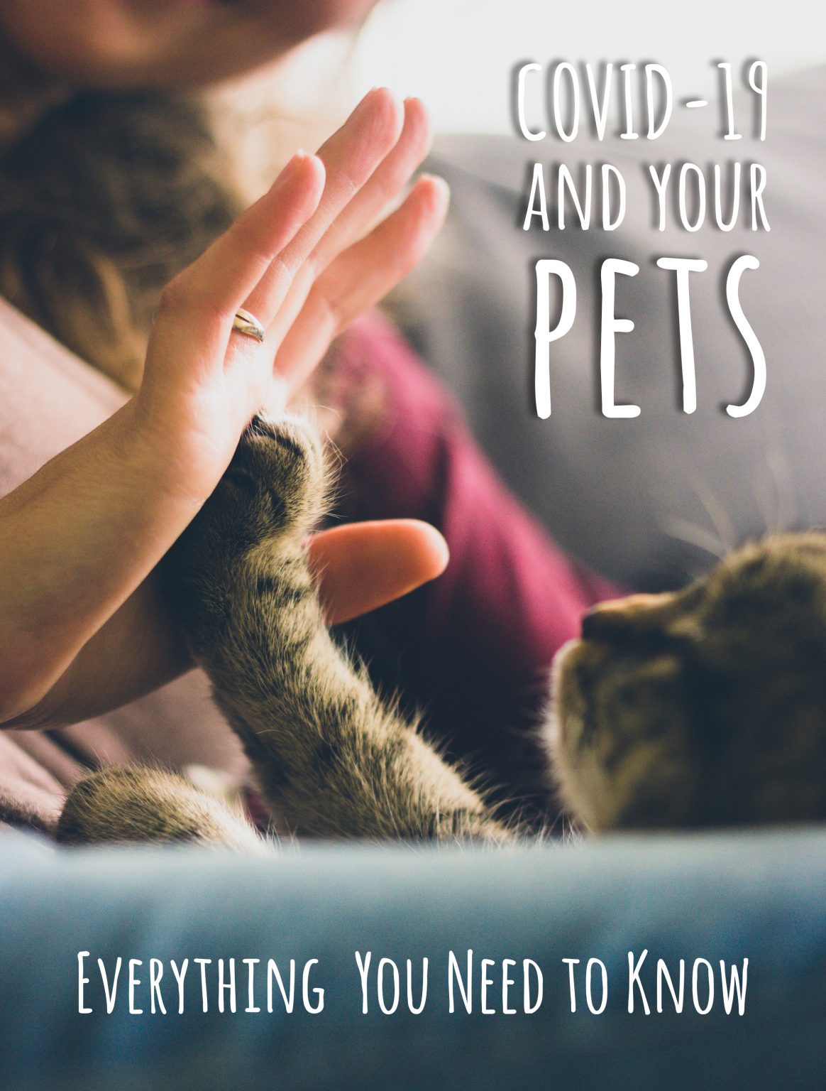 COVID19 and Your Pets Everything You Need to Know Centre Street